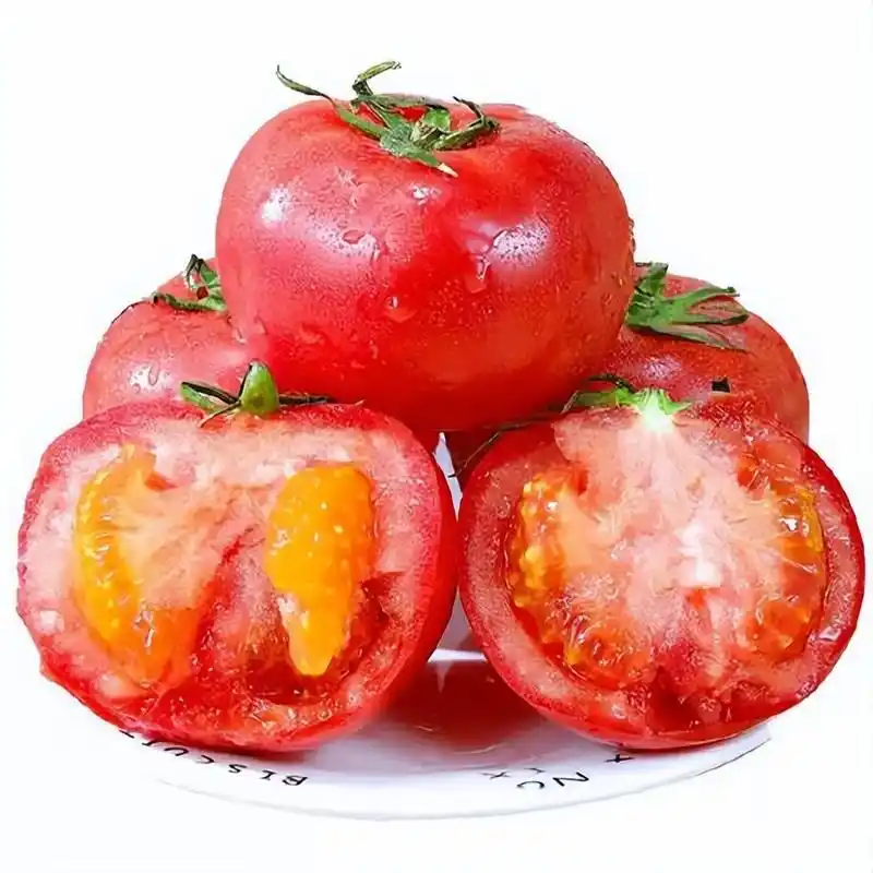 u=1120732644,273283965&fm=253&fmt=auto&app=120&f=JPEG